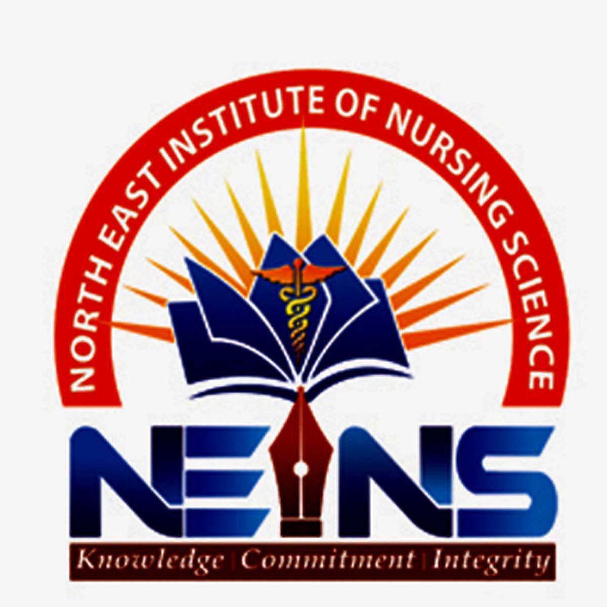 NEINS
